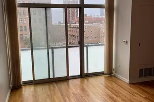 1620 S Michigan Ave, Chicago, IL 60616 - Photo 2