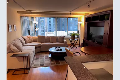 211 E Ohio Street #923, Chicago, IL 60611 - Photo 2