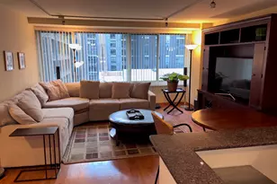 211 E Ohio St, Chicago, IL 60611 - Photo 2