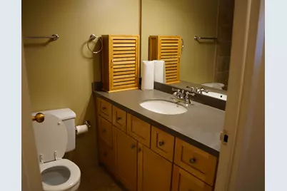 211 E Ohio Street #923, Chicago, IL 60611 - Photo 4