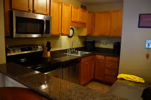 211 E Ohio St, Chicago, IL 60611 - Photo 4