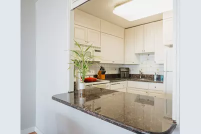 1560 N Sandburg Terrace #1506, Chicago, IL 60610 - Photo 12