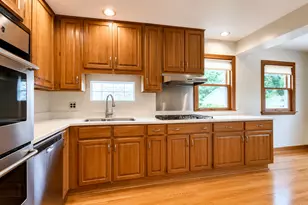 6227 N Naper Ave, Chicago, IL 60631 - Photo 10