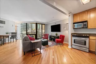 480 N McClurg Ct, Chicago, IL 60611 - Photo 10