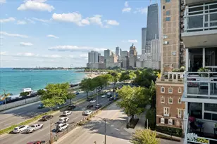 1300 N Lake Shore Dr, Chicago, IL 60610 - Photo 18