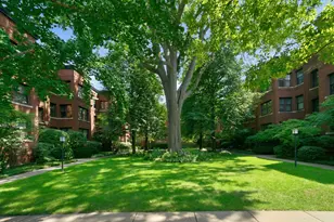 1133 Maple Ave, Evanston, IL 60202 - Photo 12
