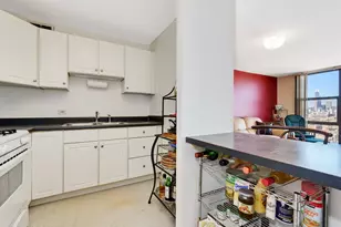 2605 S Indiana Ave, Chicago, IL 60616 - Photo 10