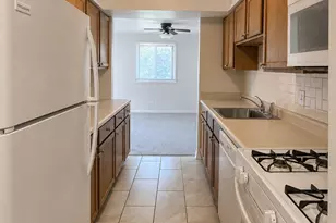 245 W Main St, Lake Zurich, IL 60047 - Photo 6