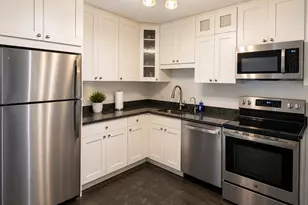 10 E Ontario St, Chicago, IL 60611 - Photo 12