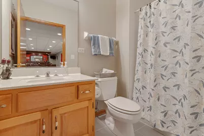 7661 Steeple Chase Drive, Frankfort, IL 60423 - Photo 24