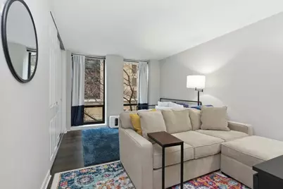 260 E Chestnut Street #312, Chicago, IL 60611 - Photo 8