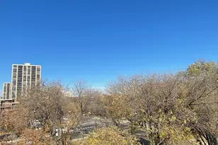 3120 S Indiana Ave, Chicago, IL 60616 - Photo 14
