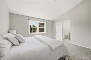 2803 Springdale Cir, Naperville, IL 60564 - Photo 20