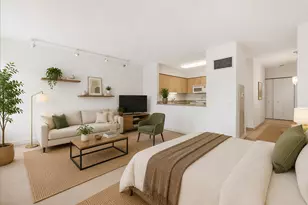 512 N McClurg Ct, Chicago, IL 60611 - Photo 4