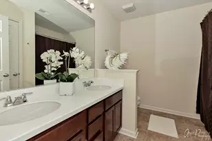 9870 Williams Dr, Huntley, IL 60142 - Photo 12