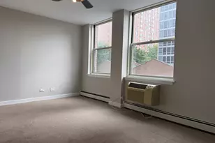 3033 N Sheridan Rd, Chicago, IL 60657 - Photo 16