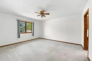 211 Fox Run Dr, Elwood, IL 60421 - Photo 16