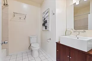 644 W Briar Pl, Chicago, IL 60657 - Photo 18
