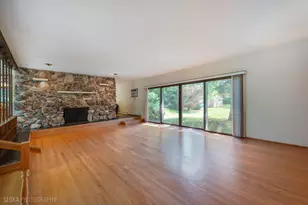 36461 N US Highway 45, Lake Villa, IL 60046 - Photo 4