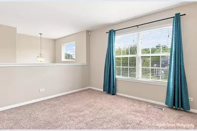 352 N Cornerstone Drive, Volo, IL 60020 - Photo 20