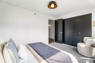 50 E 26th St, Chicago, IL 60616 - Photo 8