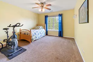 3 Walbridge Ct, Algonquin, IL 60102 - Photo 36