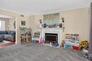 4322 Bronk Cor, Plainfield, IL 60586 - Photo 4