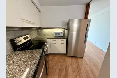300 N State Street #3634, Chicago, IL 60654 - Photo 10