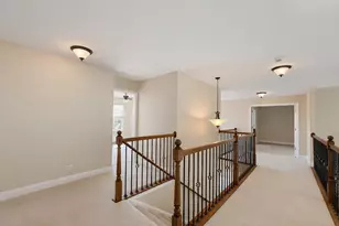 274 Rockville Ln, Gilberts, IL 60136 - Photo 24