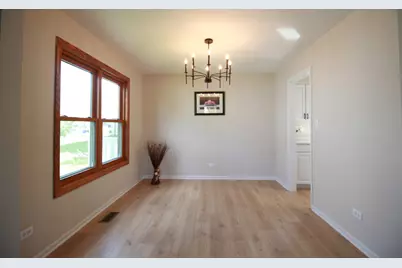 8247 W Wintergreen Drive, Frankfort, IL 60423 - Photo 10