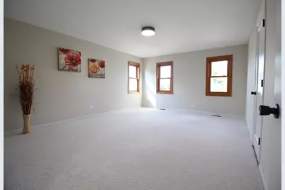 8247 W Wintergreen Drive, Frankfort, IL 60423 - Photo 18