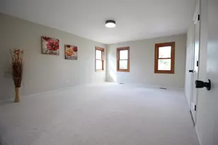 8247 W Wintergreen Dr, Frankfort, IL 60423 - Photo 18