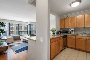 [Address not provided], Chicago, IL 60611 - Photo 4