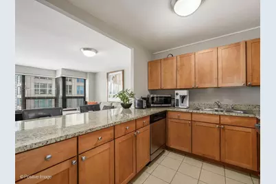 30 E Huron Street #4106, Chicago, IL 60611 - Photo 6