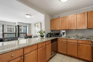 [Address not provided], Chicago, IL 60611 - Photo 6