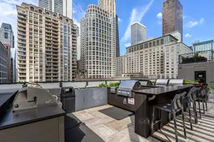 [Address not provided], Chicago, IL 60611 - Photo 18