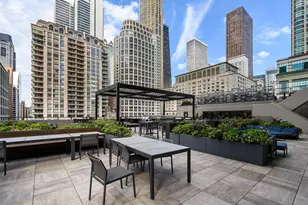 [Address not provided], Chicago, IL 60611 - Photo 16