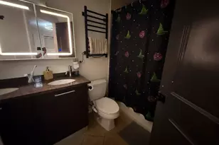809 W Bradley Pl, Chicago, IL 60613 - Photo 6