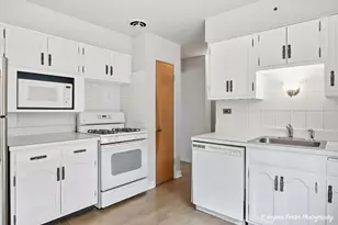 4912 Crain Street E, Skokie, IL 60077 - Photo 6