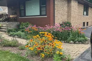 1850 Terrace Rd, Homewood, IL 60430 - Photo 36
