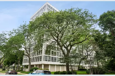 601 E 32nd Street #1111, Chicago, IL 60616 - Photo 1