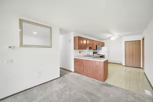 131 E 163rd St, South Holland, IL 60473 - Photo 8