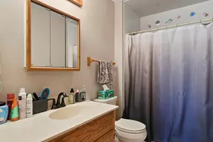 2916 Sharon Dr, New Lenox, IL 60451 - Photo 28
