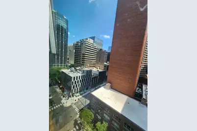 550 N Saint Clair Street #1103, Chicago, IL 60611 - Photo 8