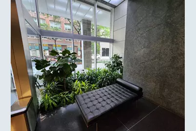 550 N Saint Clair Street #1103, Chicago, IL 60611 - Photo 18