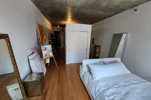 550 N St Clair St, Chicago, IL 60611 - Photo 4