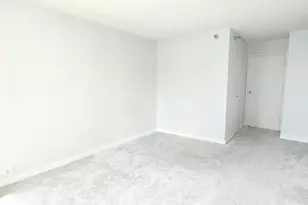 474 N Lake Shore Dr, Chicago, IL 60611 - Photo 24