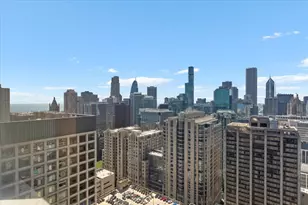 161 E Chicago Ave, Chicago, IL 60611 - Photo 30