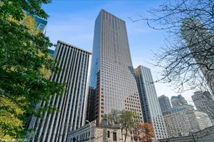 161 E Chicago Ave, Chicago, IL 60611 - Photo 1