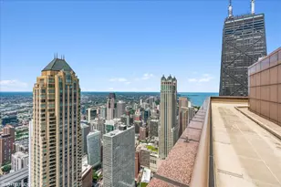 161 E Chicago Ave, Chicago, IL 60611 - Photo 36